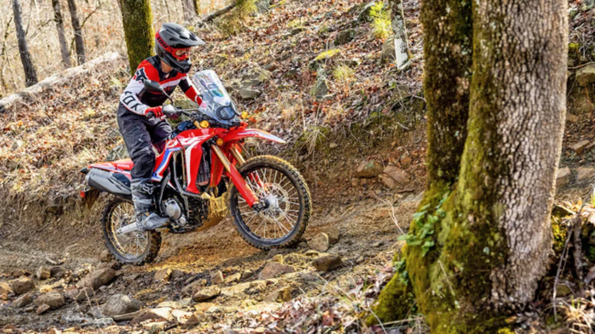 Honda CRF300L Finally Lands in India and Its Not What You Think